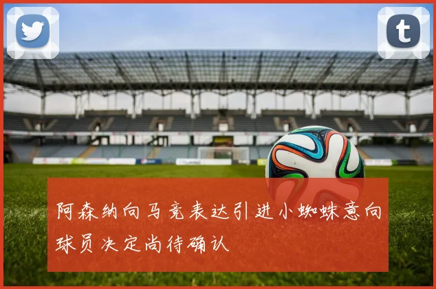 阿森纳向马竞表达引进小蜘蛛意向球员决定尚待确认